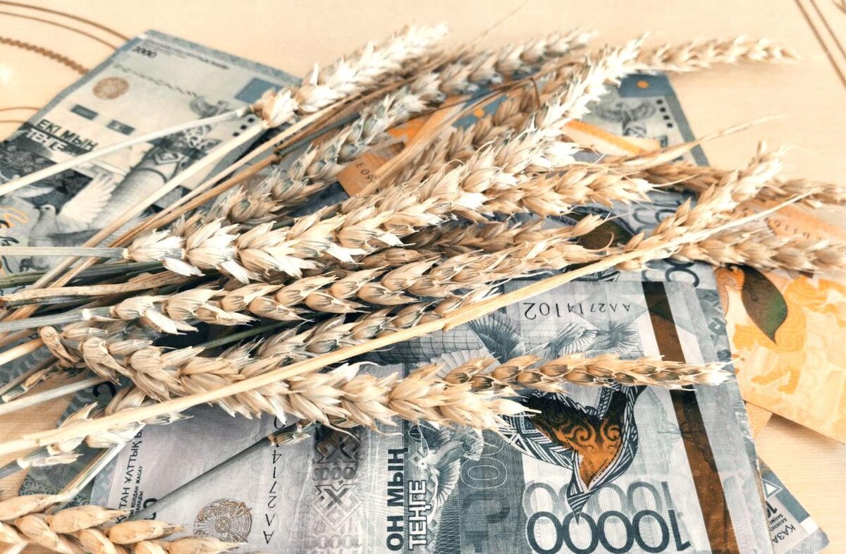 Фото: АПК Новости