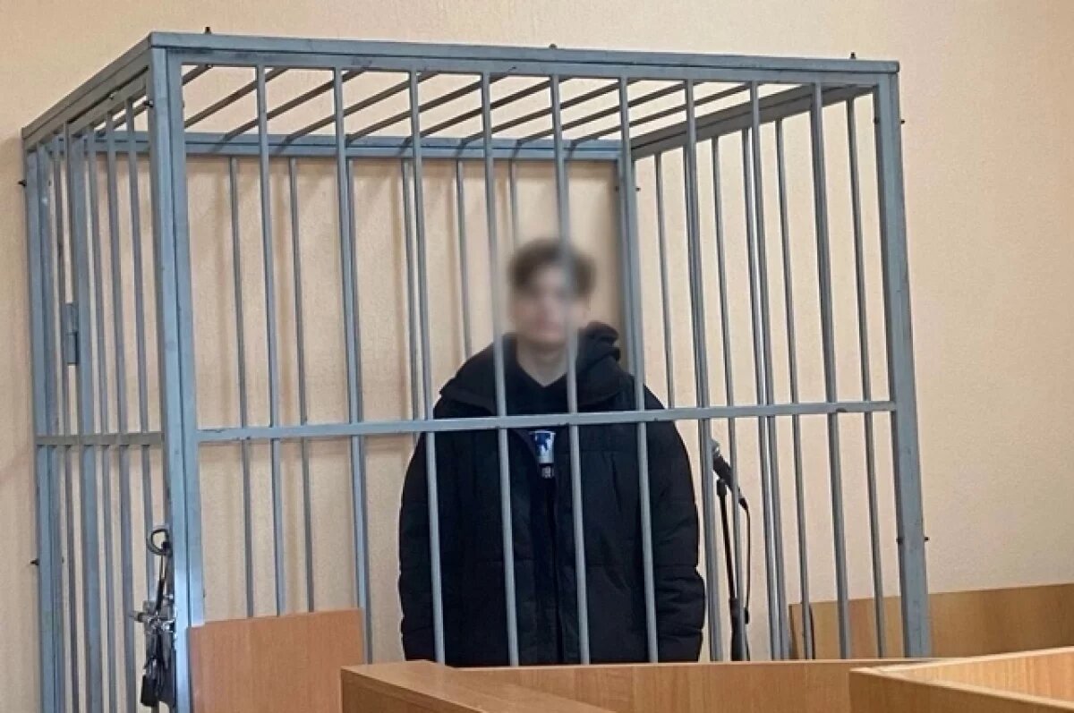    Суд взял под стражу 18-летнего убийцу бабушки своей подруги