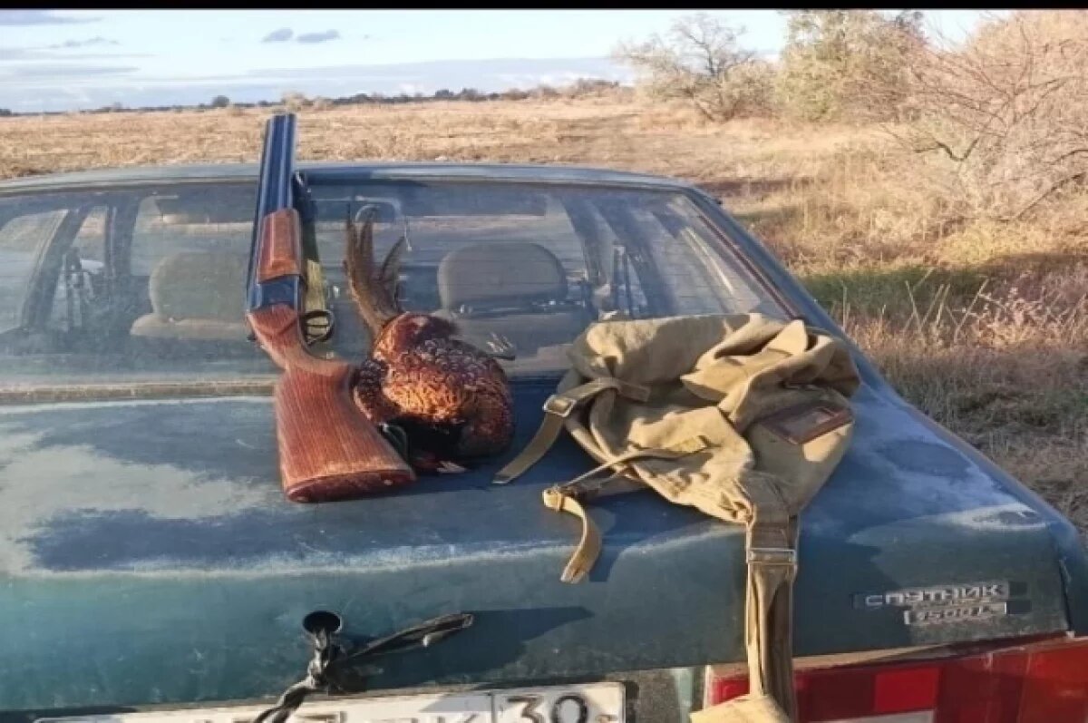    В Наримановском районе зафиксировали незаконную добычу фазана
