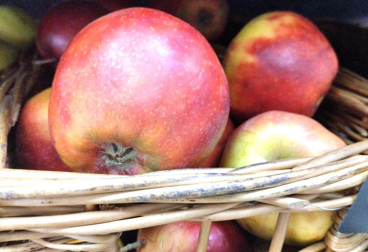 Фото: АПК Новости