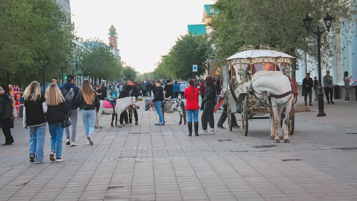     Источник: 1MI