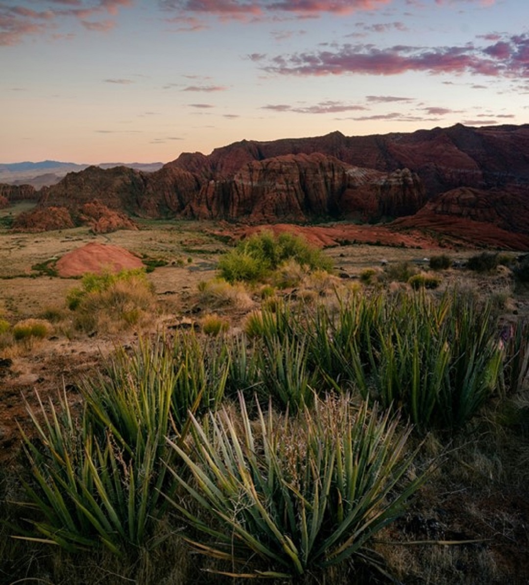 Источник: https://unsplash.com/  