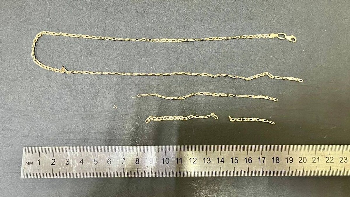    Фото: t.me/police_sochi