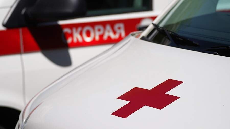     / Источник: © ИЗВЕСТИЯ/Эдуард Корниенко