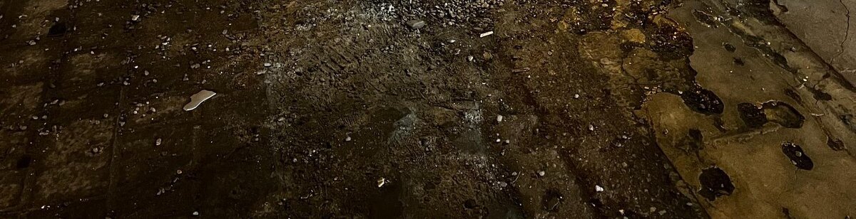    Фото: Анна Григор