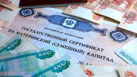    Власти предложили выделить на продление программы маткапитала еще 2,7 трлн рублей Ирина Петрова