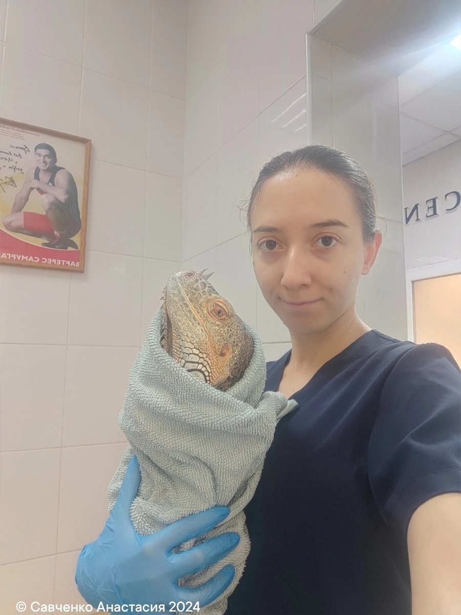 Фото: Анастасия Савченко