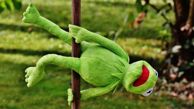     Стриптиз. СС0