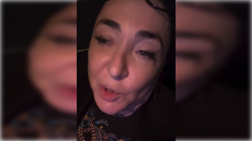 Фото: instagram.com (заблокирован на территории РФ, принадлежит компании Meta, внесённой в реестр экстремистских и террористических организаций)/lolitamilyavskaya