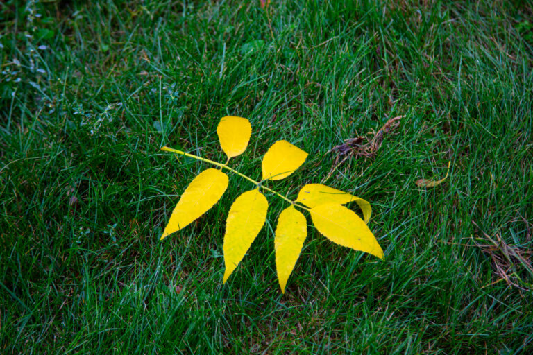    Фото: Общественная Служба Новостей Оксана Маслова