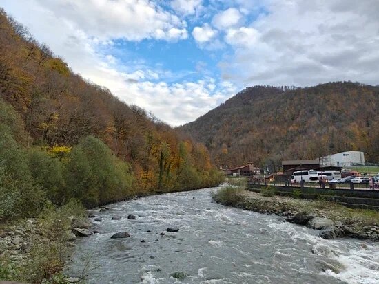    Фото: Юрий Серебренников/BFM Кубань