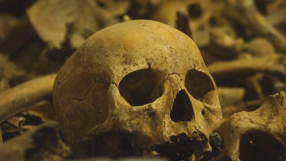     Источник: 1MI