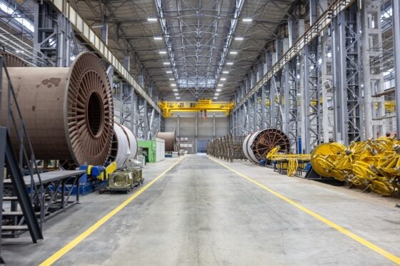     Фото: Правительство Псковской области.