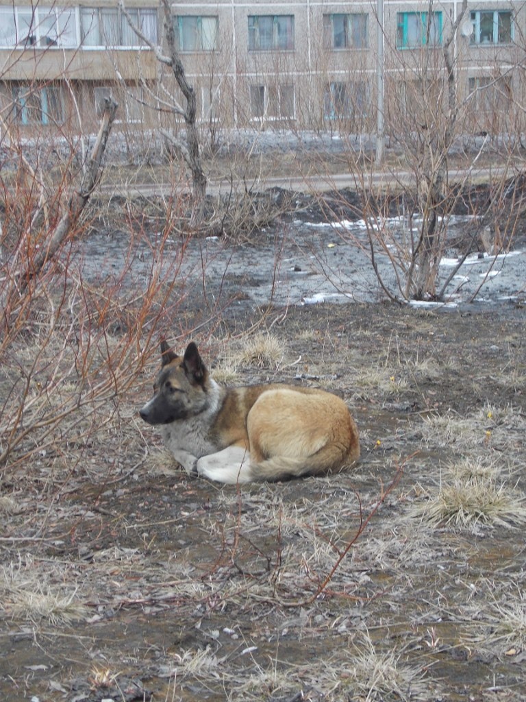 Такая красивая