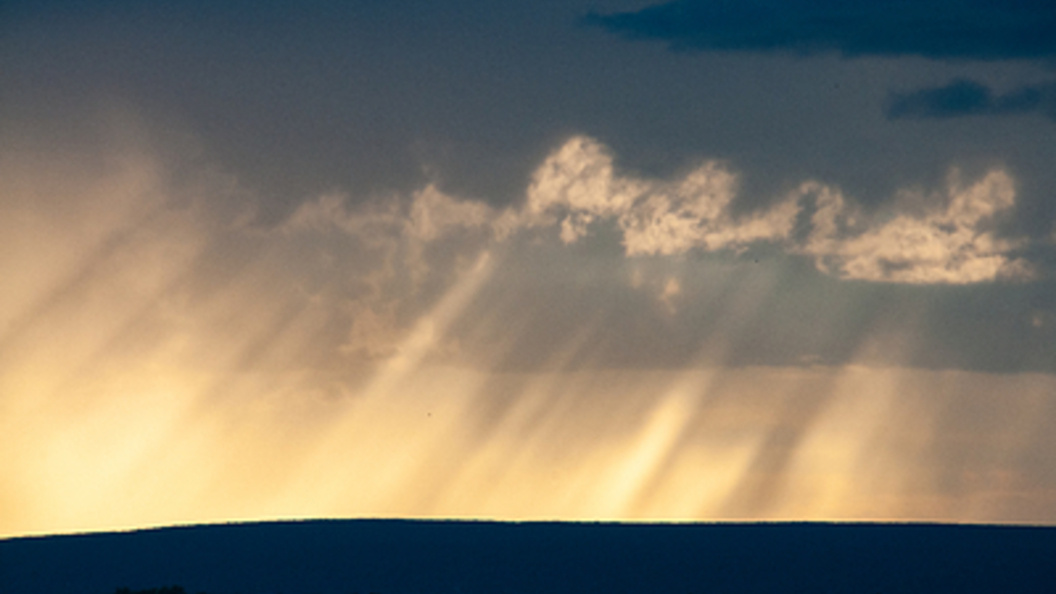    Фото: Svetlana Vozmilova/Global Look Press/Globallookpress