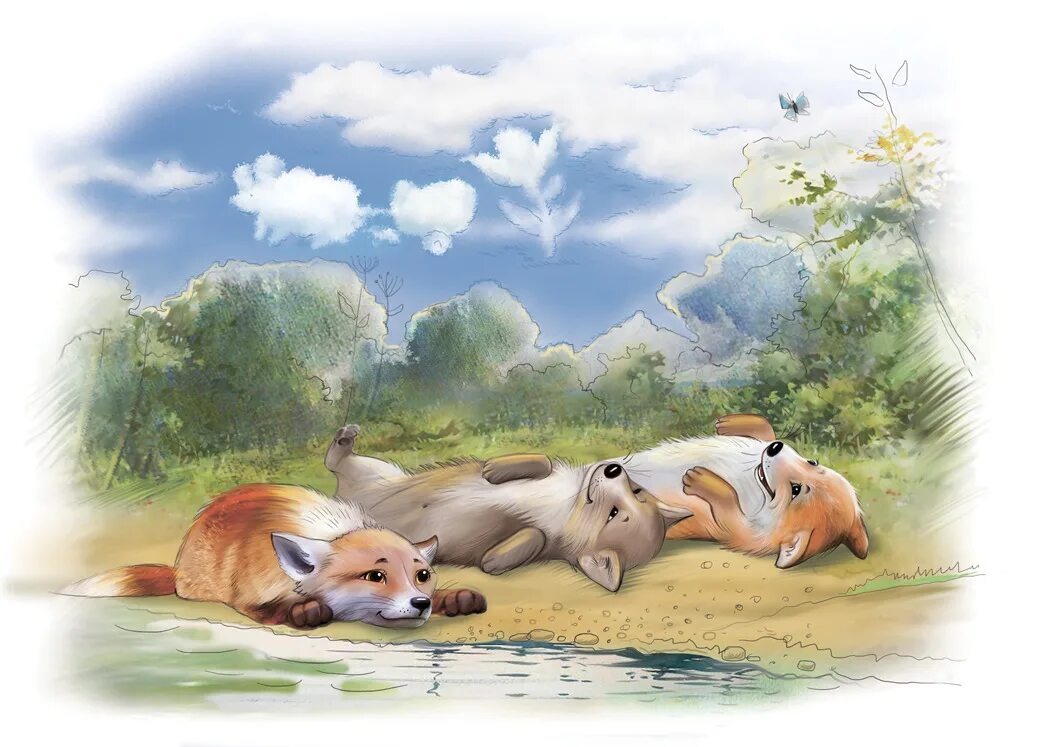 Из электронной книги