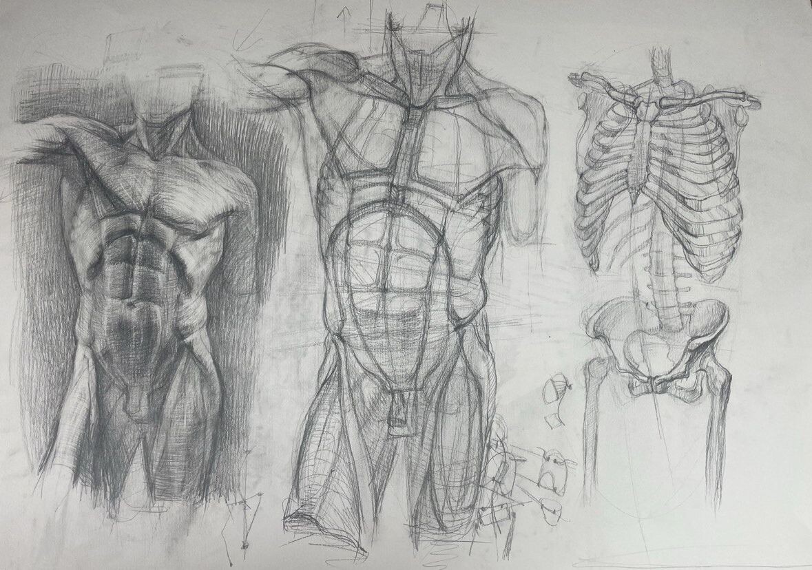 Илл.: @pravda_draw