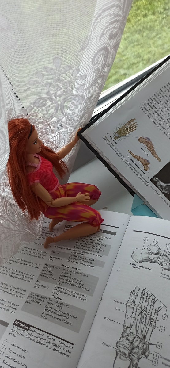 училась взаимодействовать