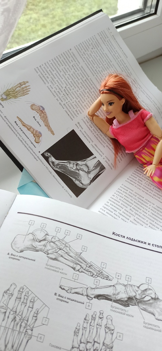 Это я плотно изучала анатомию стопы