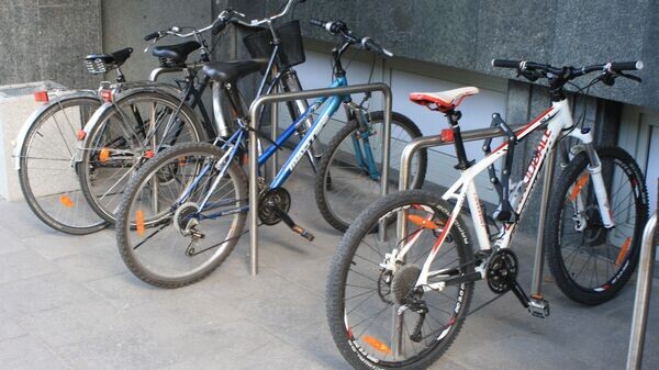    © Sputnik / Александр Липовец