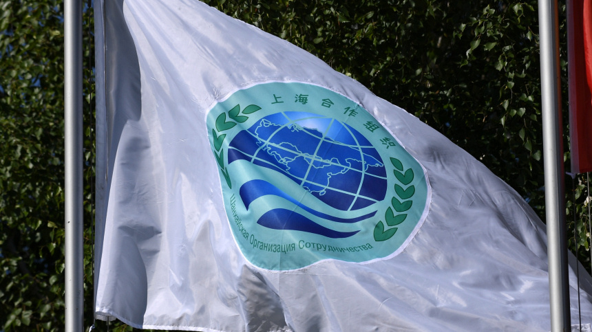    Фото: © РИА Новости/Григорий Сысоев; 5-tv.ru