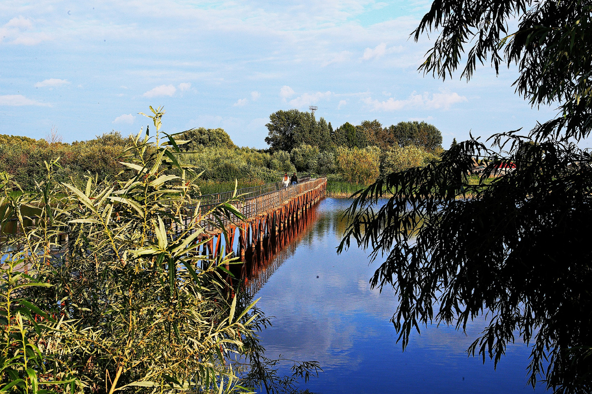 фото https://vk.com/id296798908?from=search