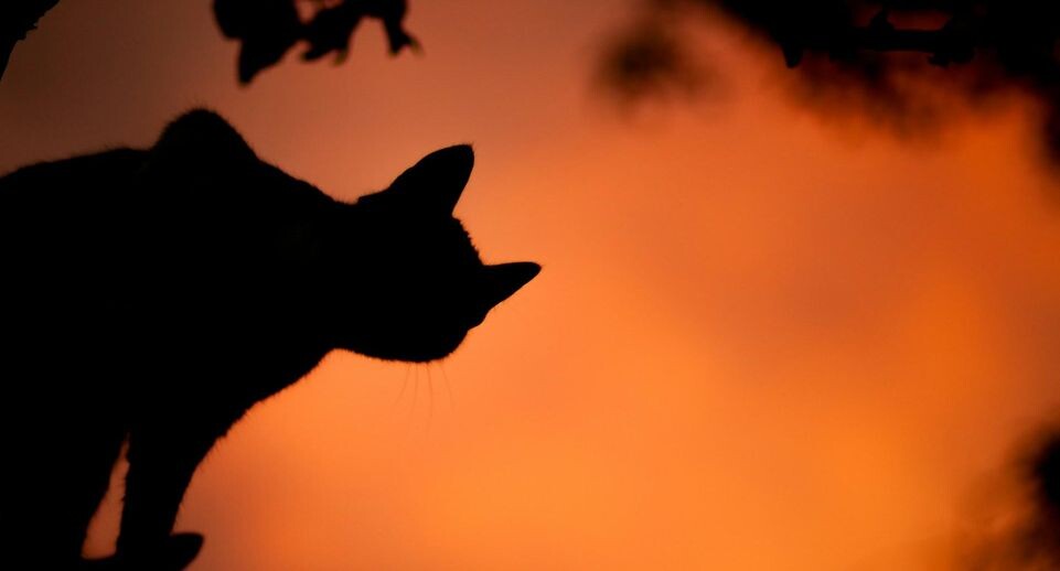    Sašo Tušar / Unsplash