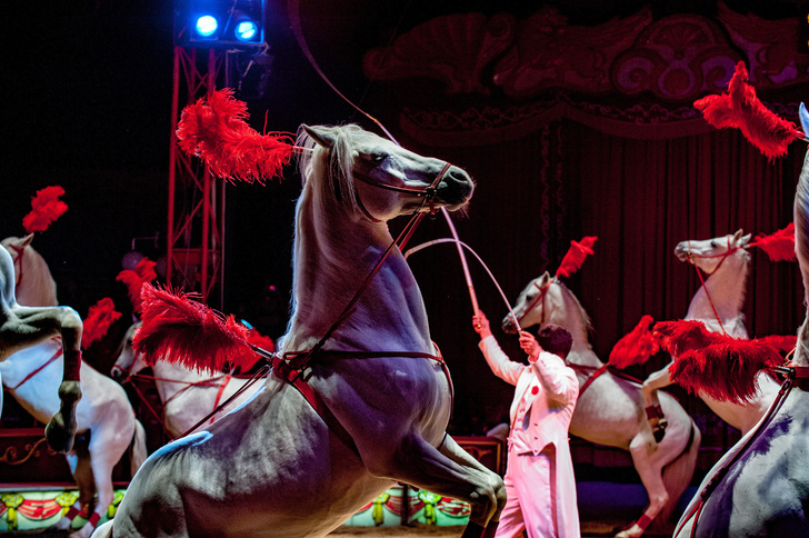 Источник: Andrea Izzotti/Shutterstock/Fotodom.ru