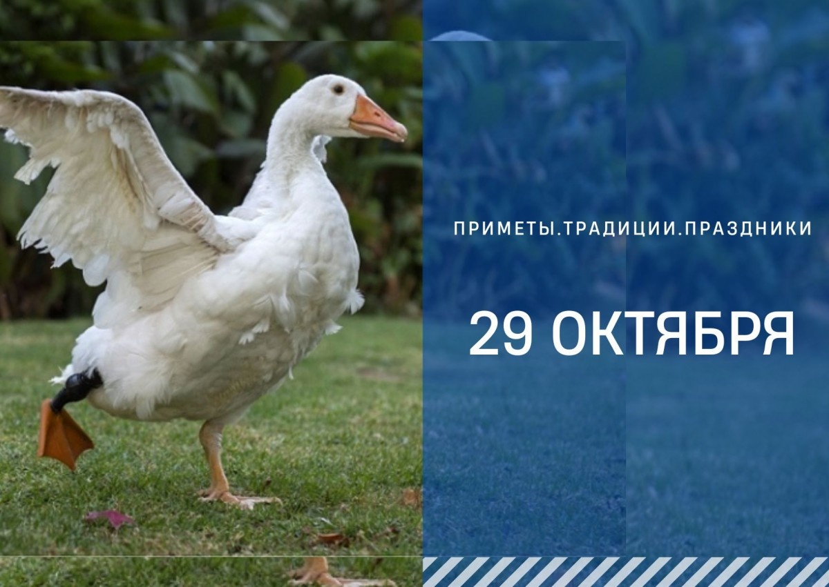   ГТРК "Ставрополье"