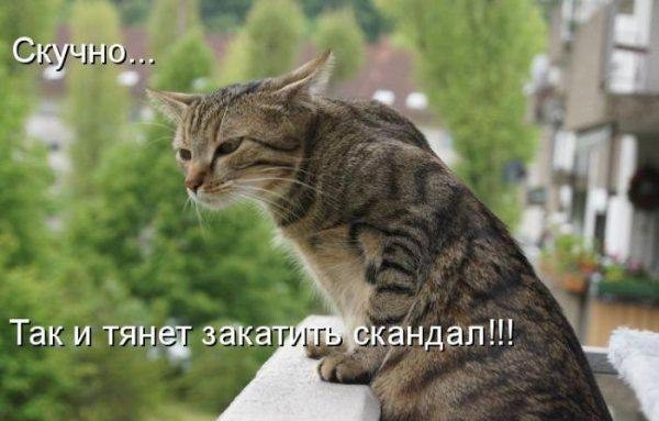 -Чем бы мне заняться?