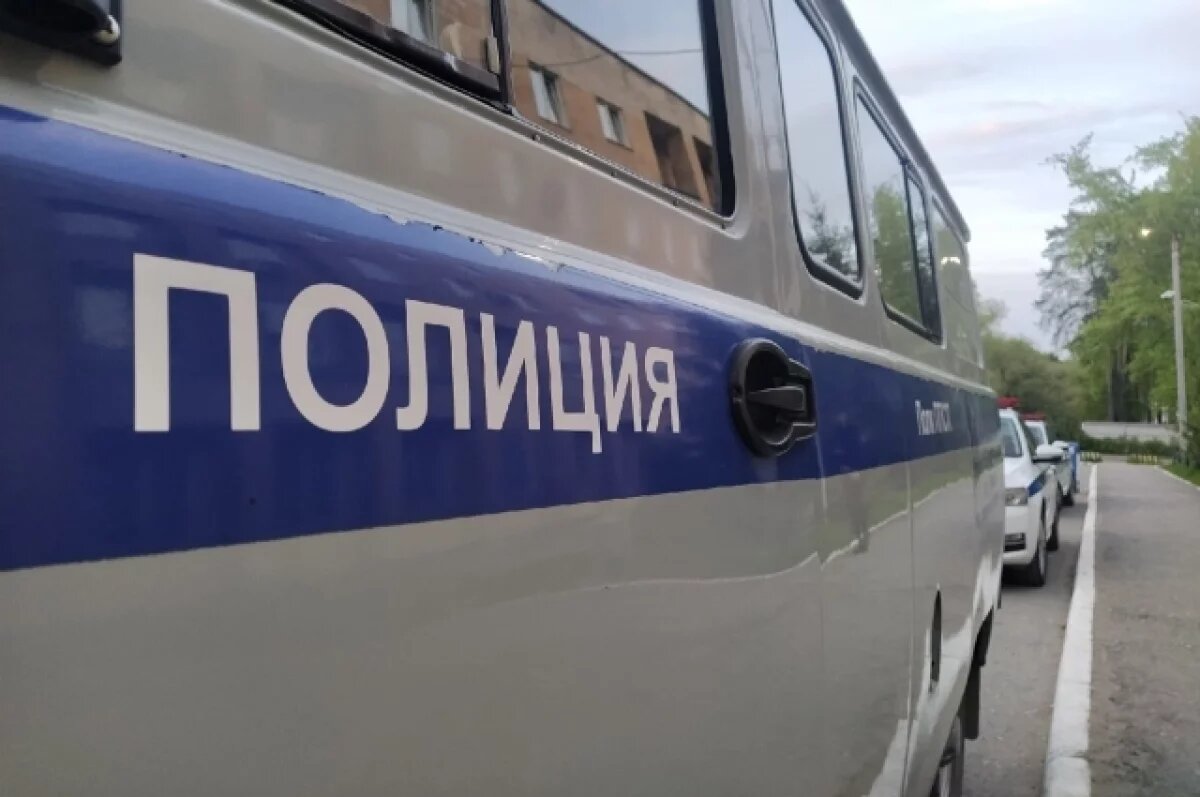    РЕН ТВ: школьник убил мать на глазах младшего брата в Пермском крае