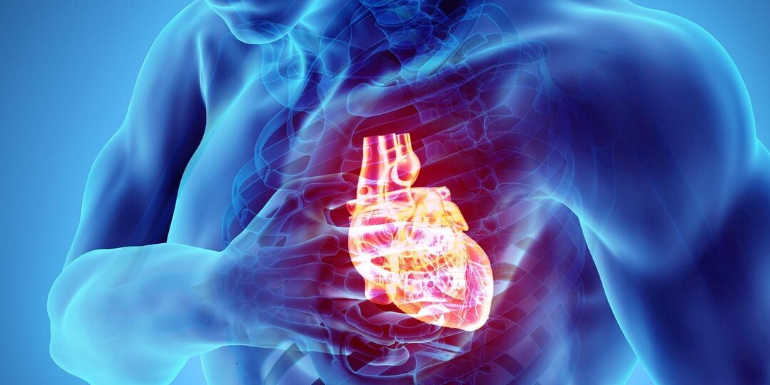 Сердечная недостаточность — чего же не хватает сердцу и что важно знать при таком диагнозе