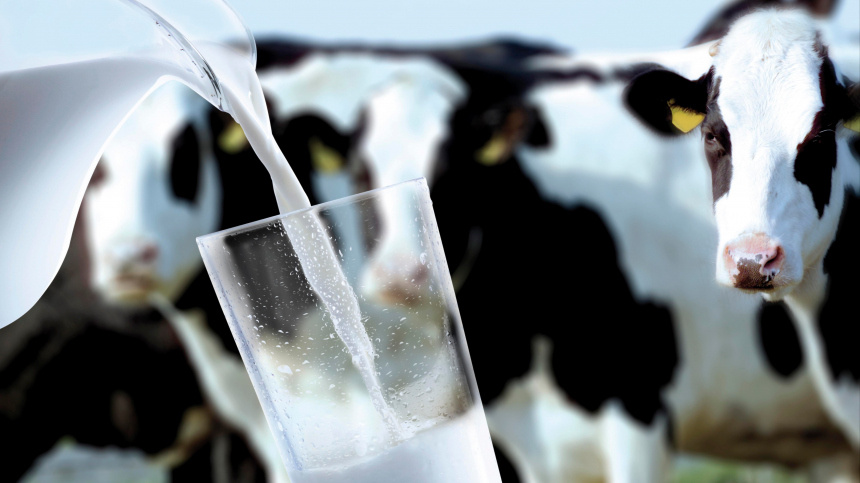    Фото: www.globallookpress.com/Creativ Studio Heinemann