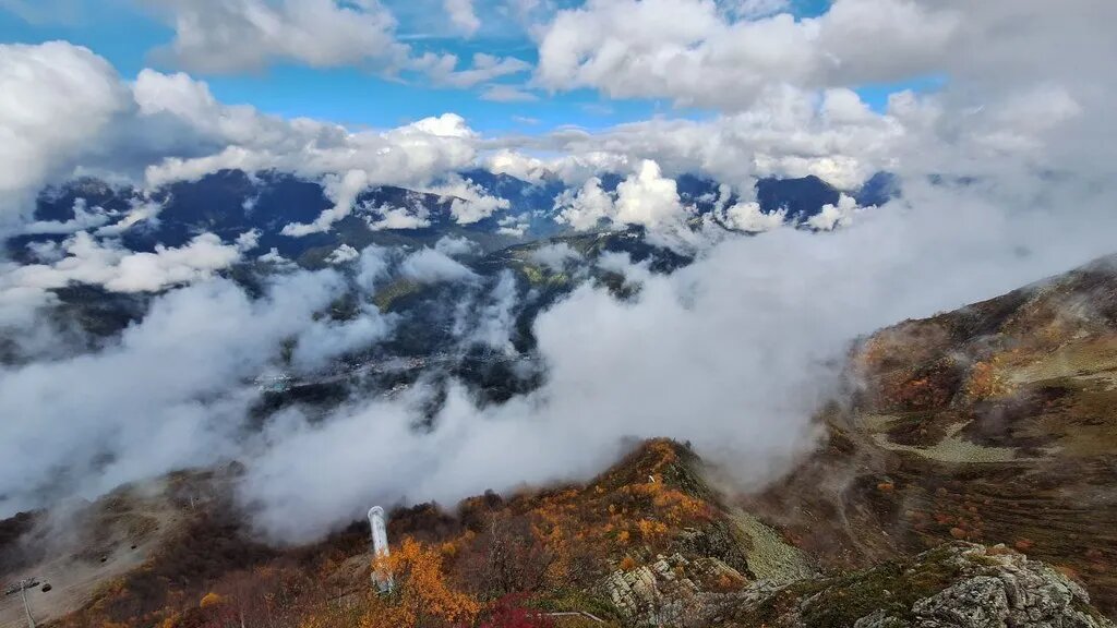  Фото предоставлено героиней статьи
