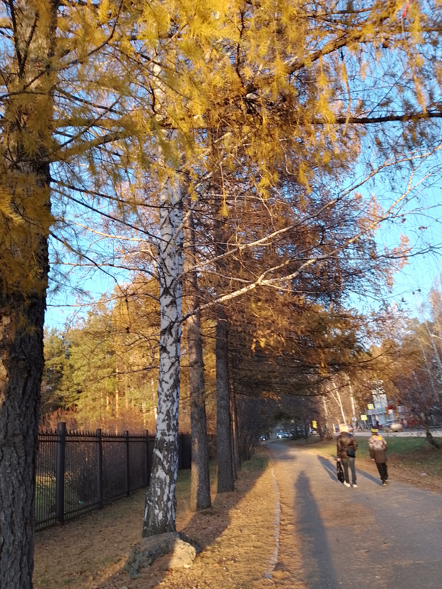 Мы с Андреем идем домой и фотографируем красоту в городе. Наши только тени на тротуаре.