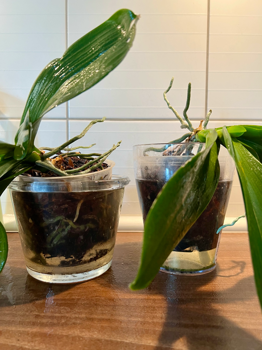 Вот это был этот момент