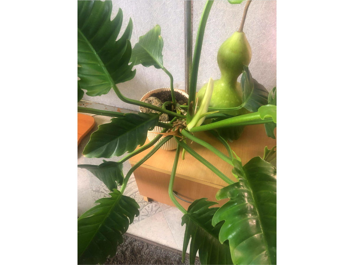 Ёмкость маловата  фото автора