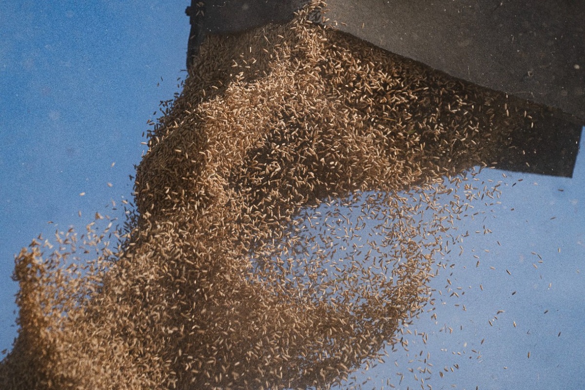 Фото © Zuma / ТАСС