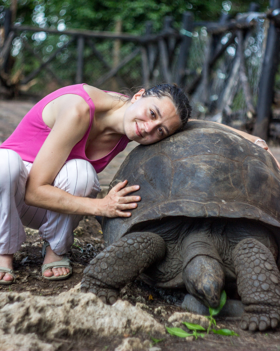 C 100+ летней сейшельской черепахой. Занзибар, Танзания | Ноябрь 2020