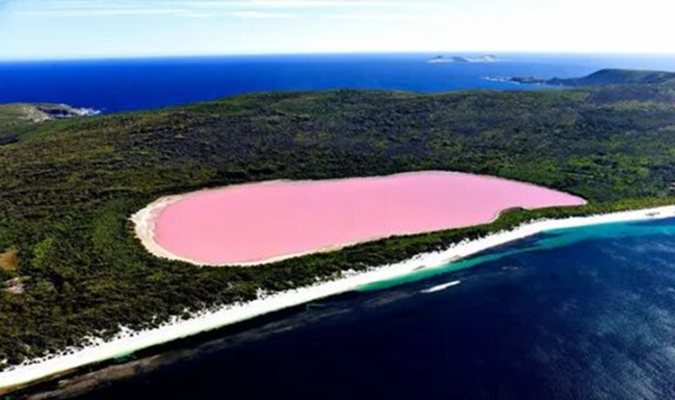 Вид с высоты