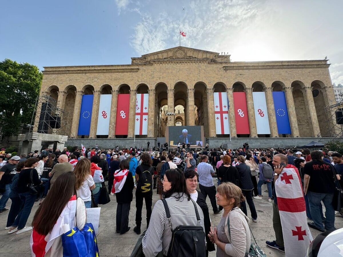    Акция протеста перед зданием парламента в Тбилиси© Sputnik