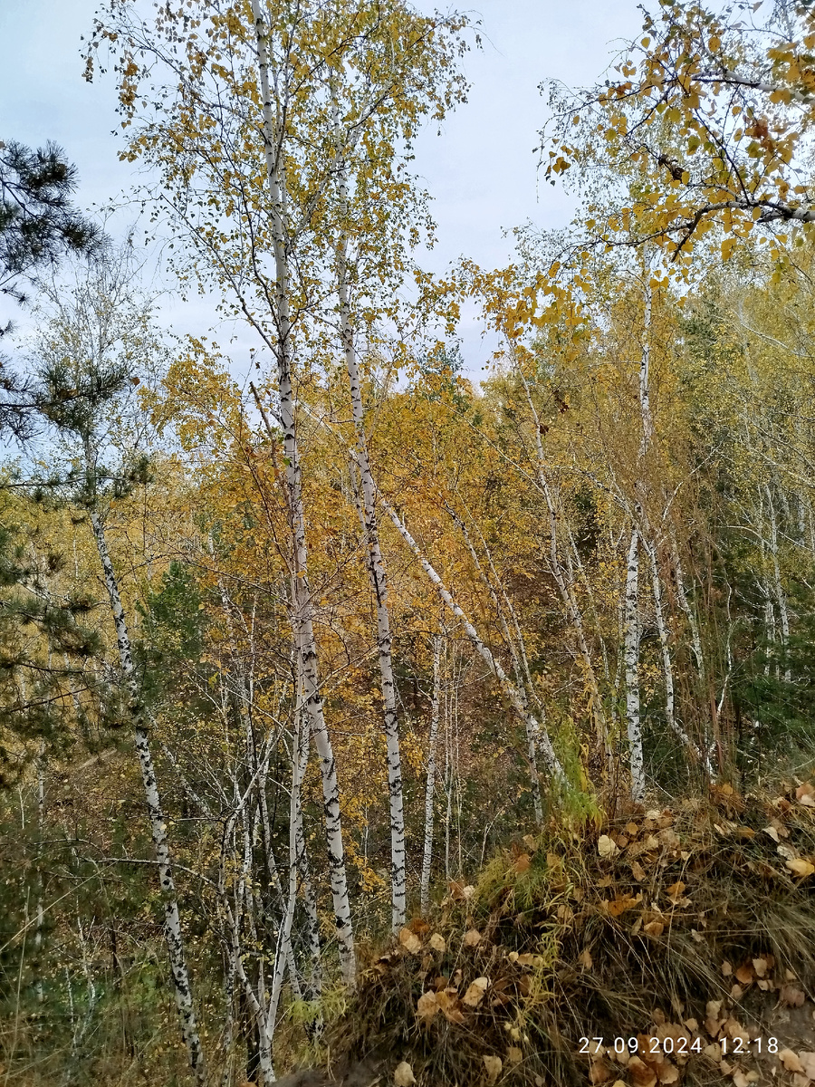 Немного осенней красоты