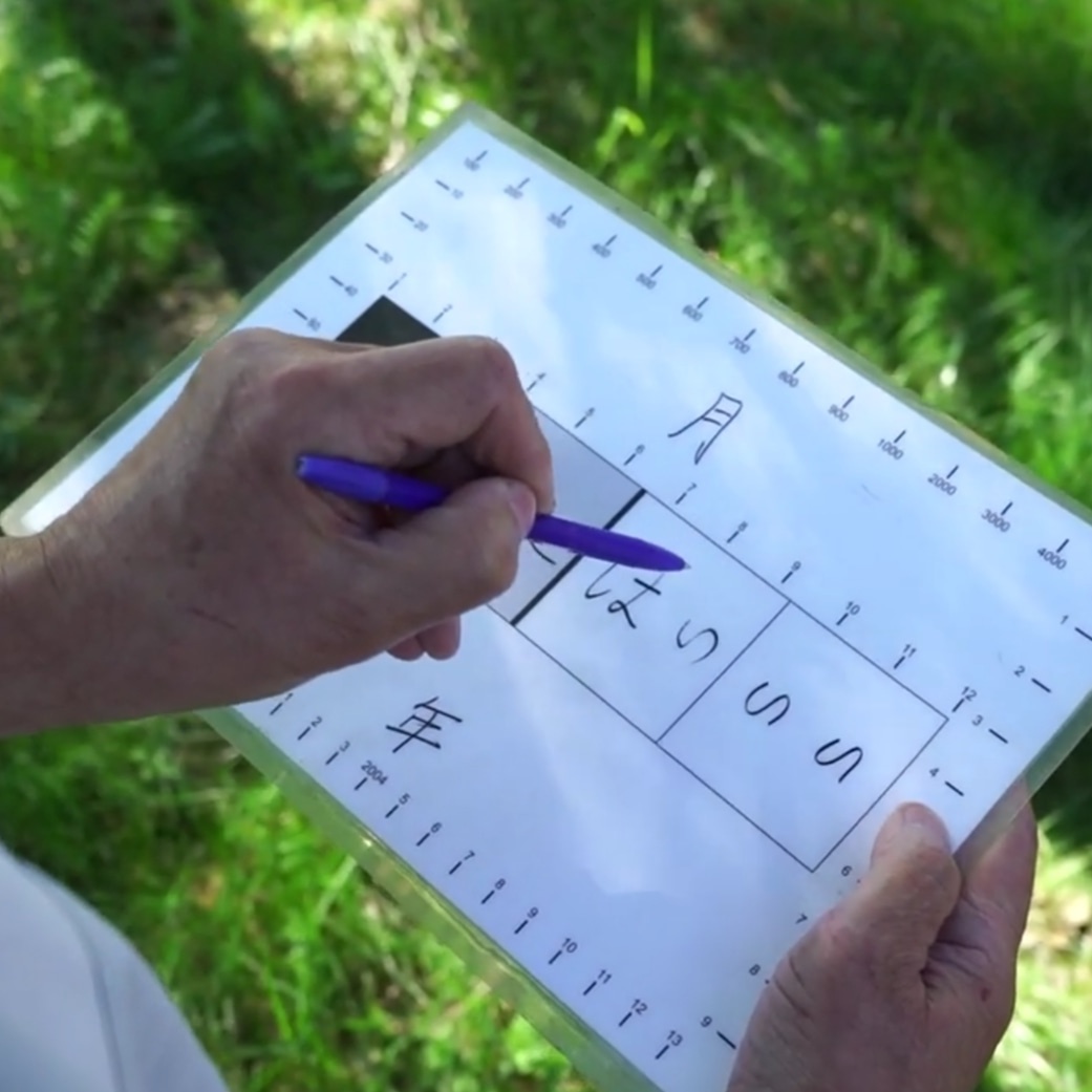 Японская гадательная доска 