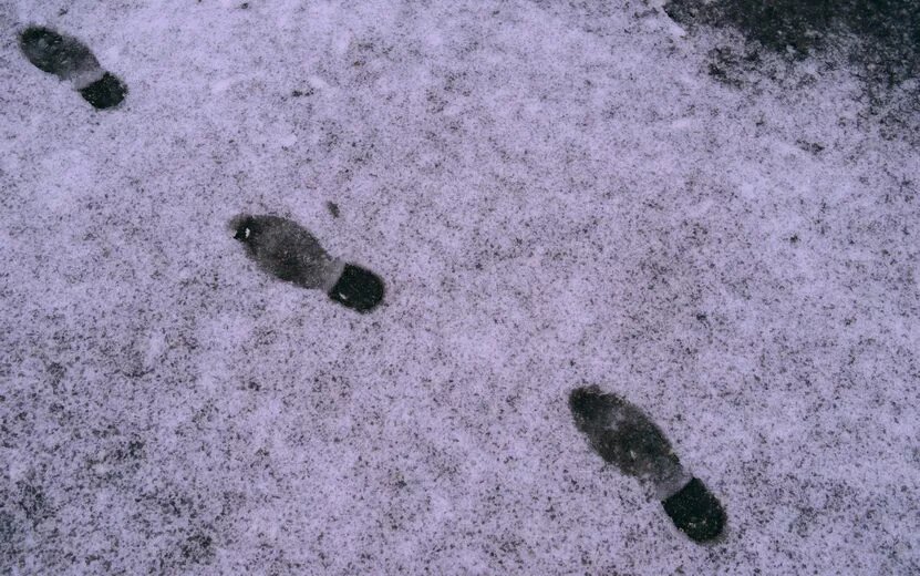    Погода в Ижевске на день: 29 октября ждем мокрый снег и до +4°С