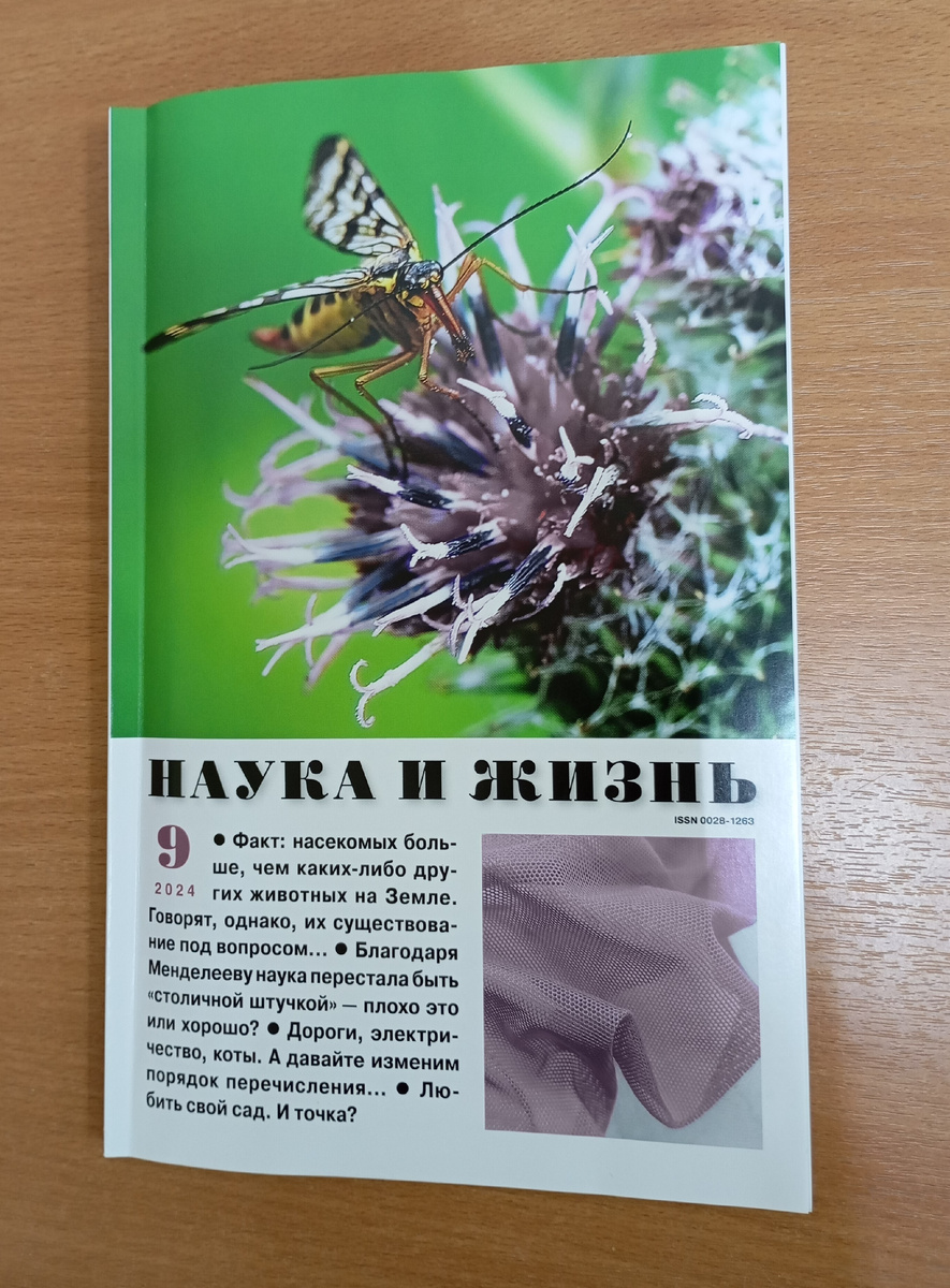 Фотография автора