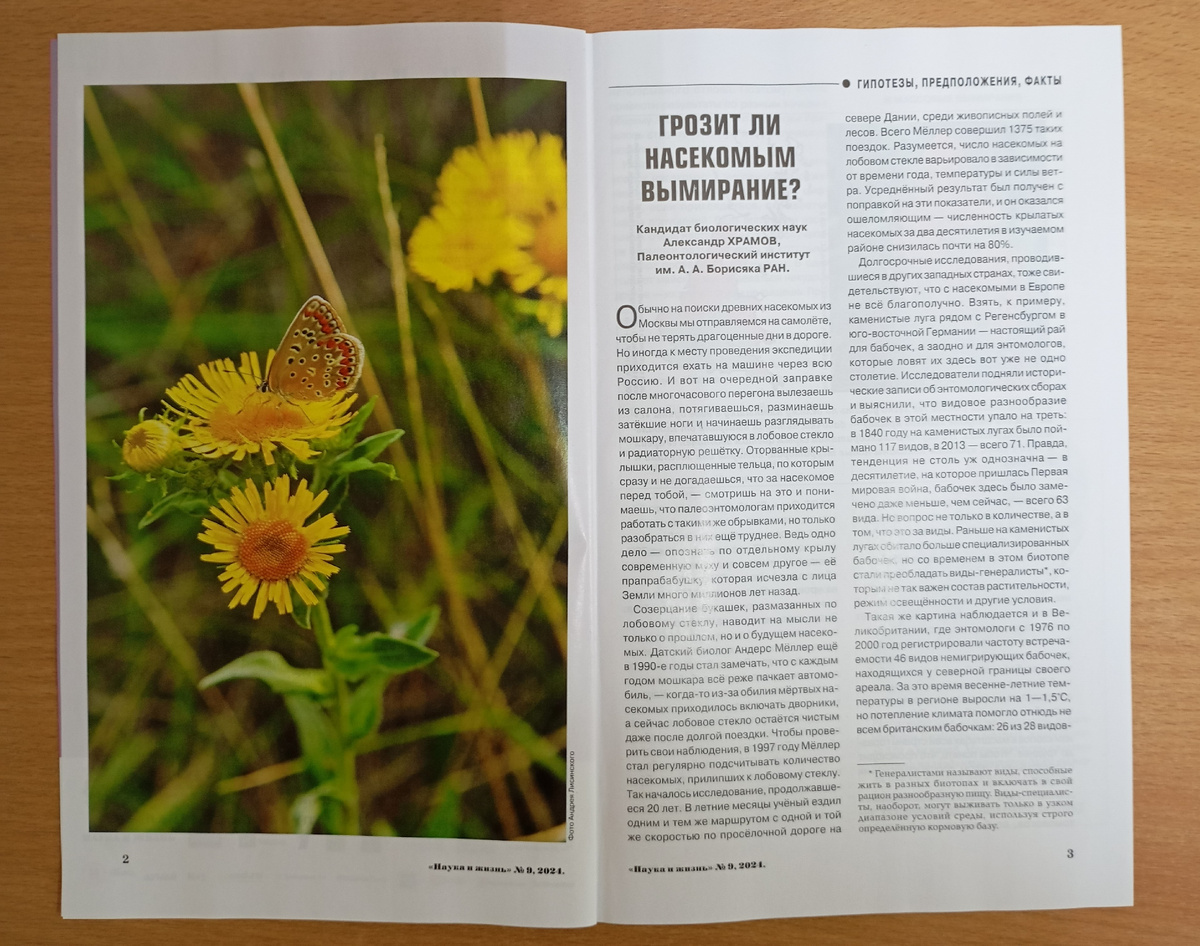 Фотография автора