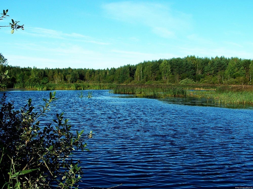 Талдомский район.