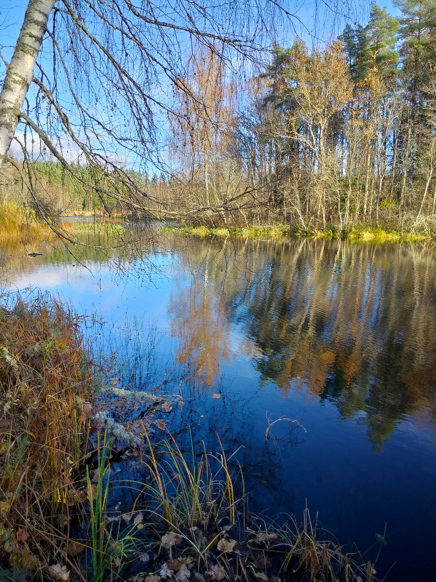 Сегодня на реке