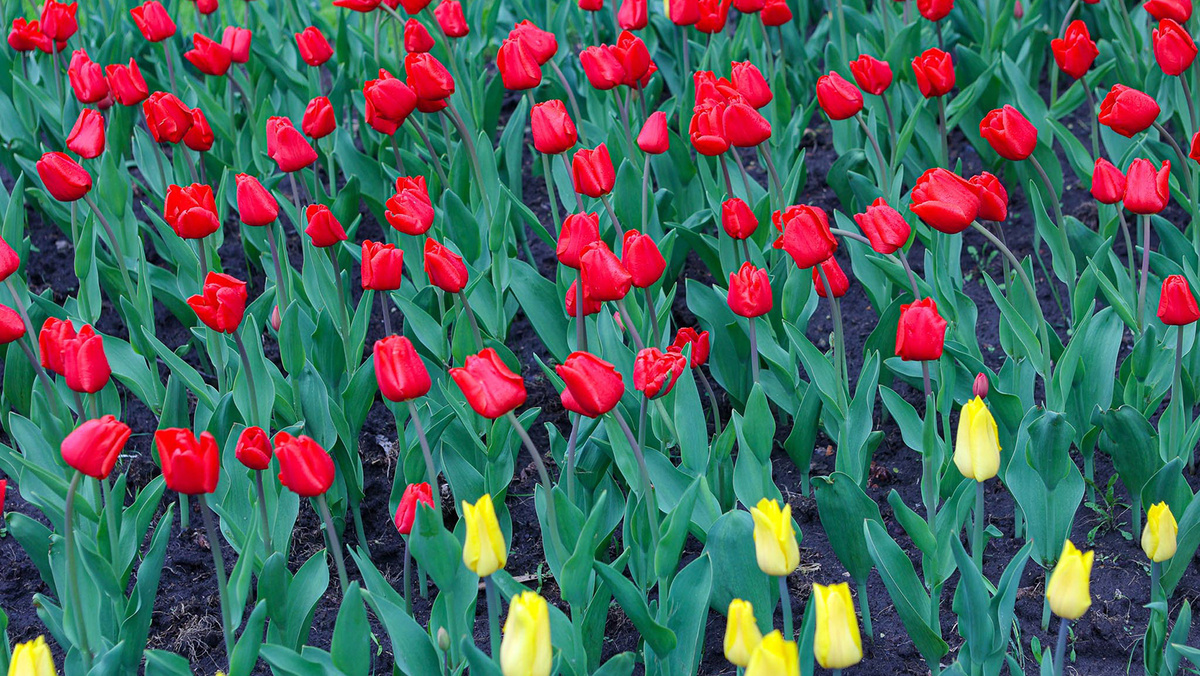    Фото: Антон Вергун