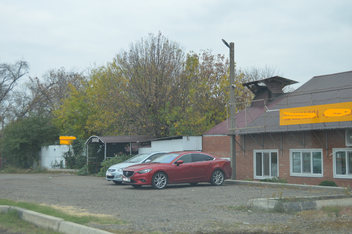 Фото автора. Октябрь 2024. На Кубани осень!